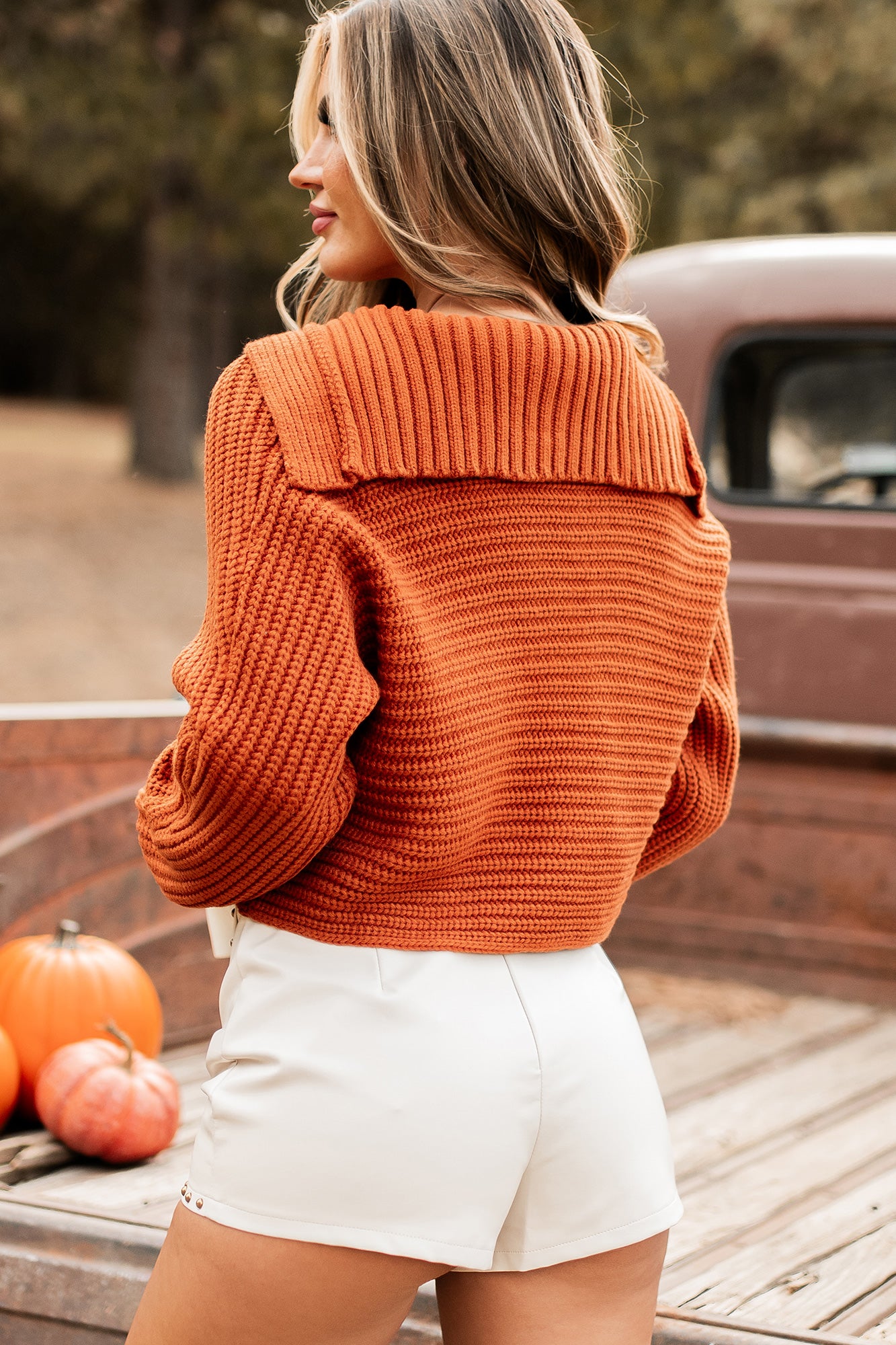 Can't Talk Right Now Collared Crop Sweater (Rust) - NanaMacs