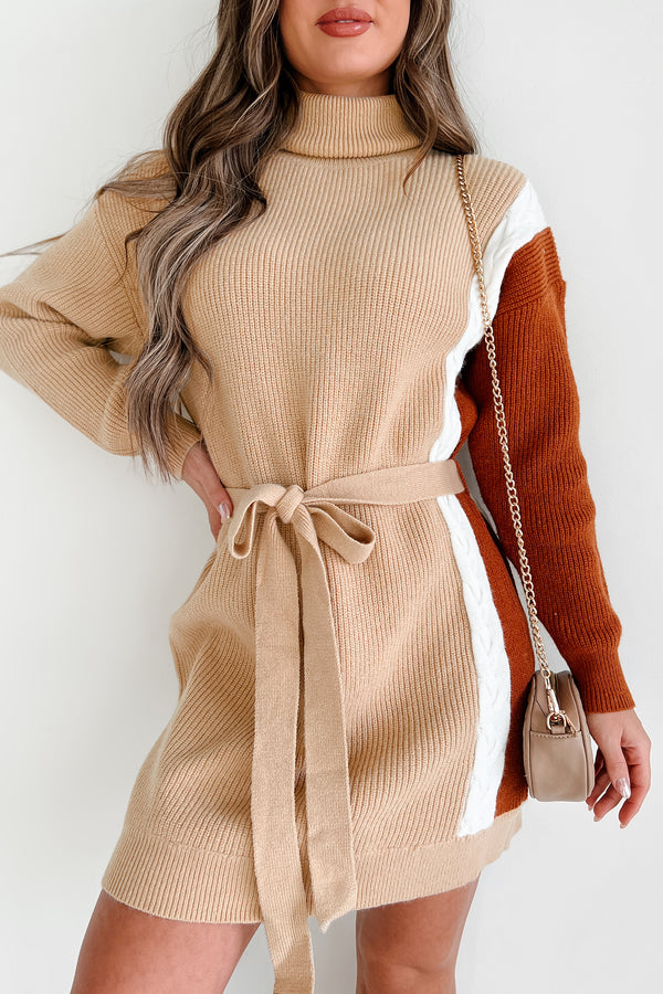 Slope City Turtleneck Sweater Dress (Oatmeal Multi) - NanaMacs