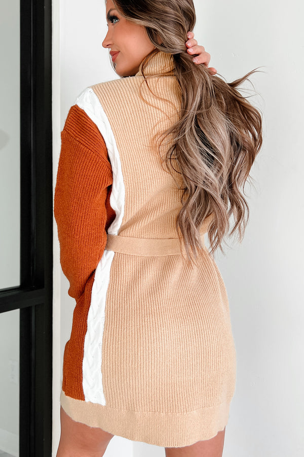 Slope City Turtleneck Sweater Dress (Oatmeal Multi) - NanaMacs