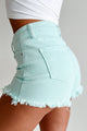The Journey Continues High Rise Tummy Control Risen Shorts
 Risen Shorts (Mint) - NanaMacs