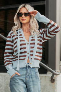 Sinking In Striped Knit Hooded Cardigan (Light Blue) - NanaMacs