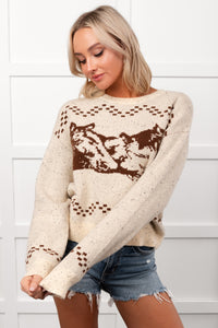 Rodeo Radiance Horse Pattern Knit Sweater (Oatmeal) - NanaMacs
