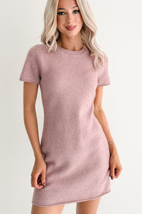 Blanket State Short Sleeve Knit Mini Dress (Mauve)