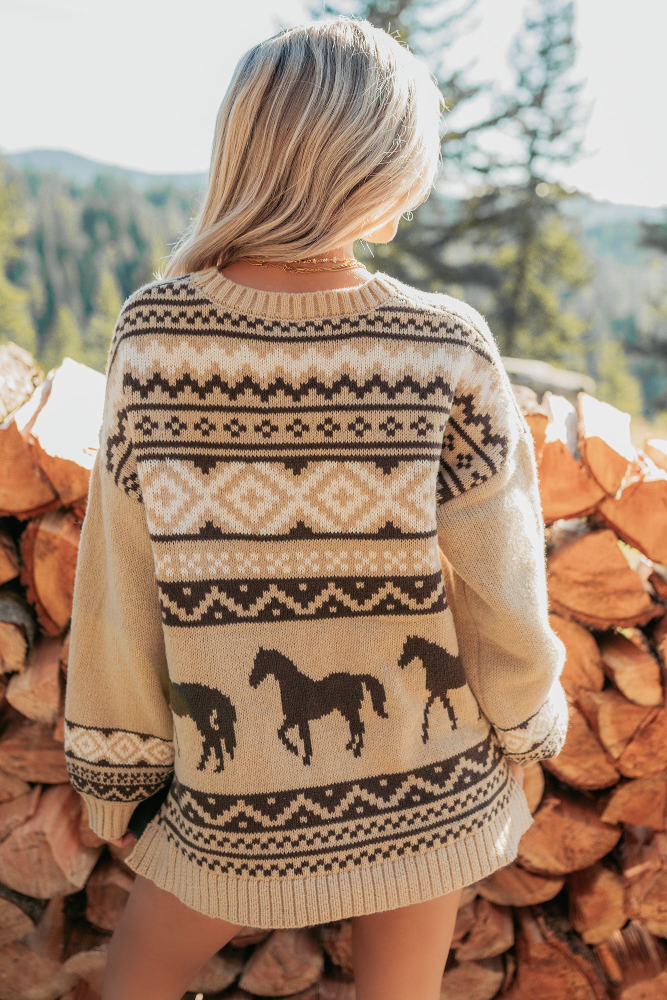 Bless Your Boots Western Print Sweater (Mocha) - NanaMacs