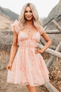 Petals In The Sun Chiffon Embroidered Mini Dress (Coral) - NanaMacs