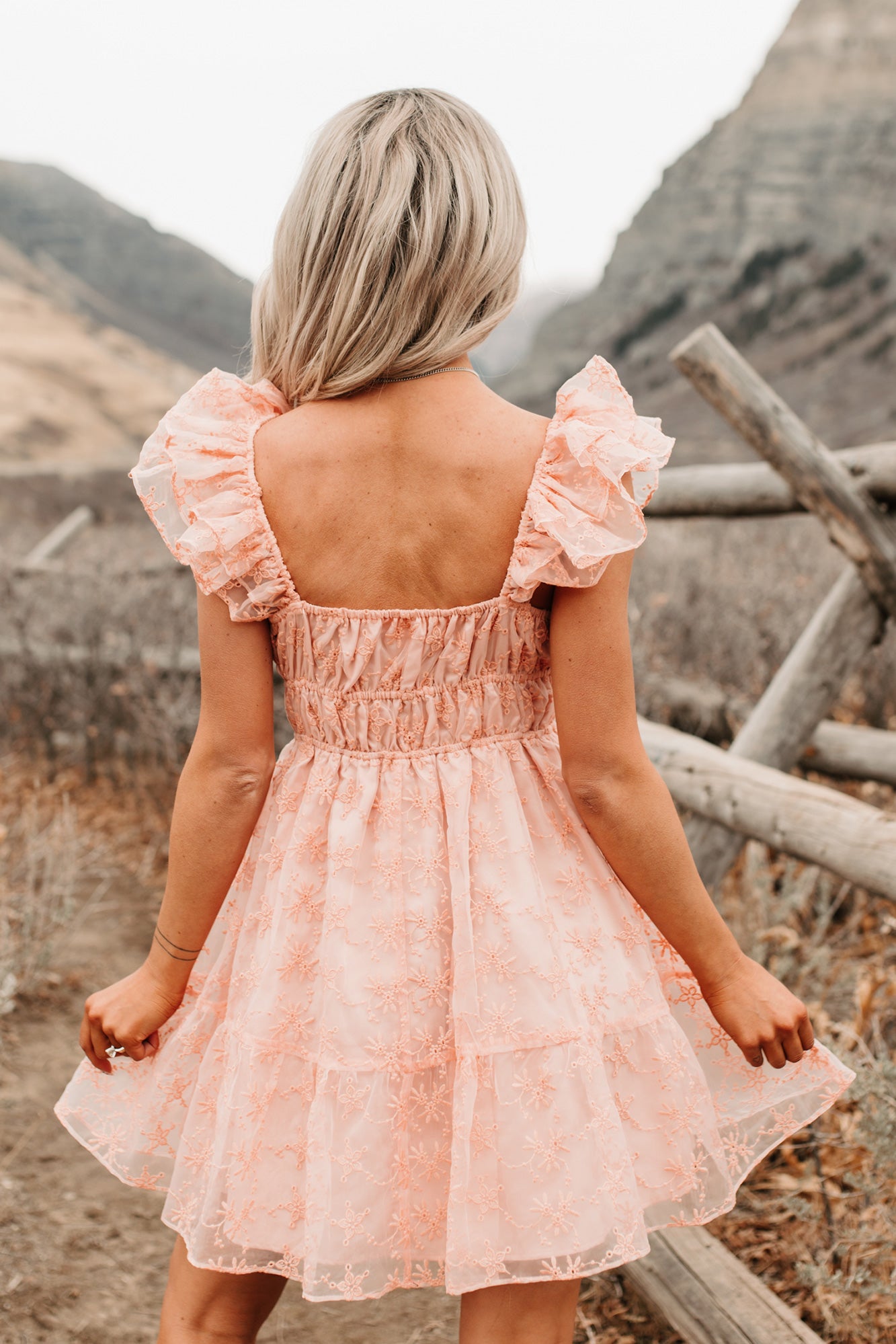 Petals In The Sun Chiffon Embroidered Mini Dress (Coral) - NanaMacs