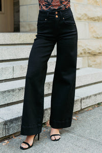 Frederick High Rise Wide Leg Risen Jeans (Black) - NanaMacs
