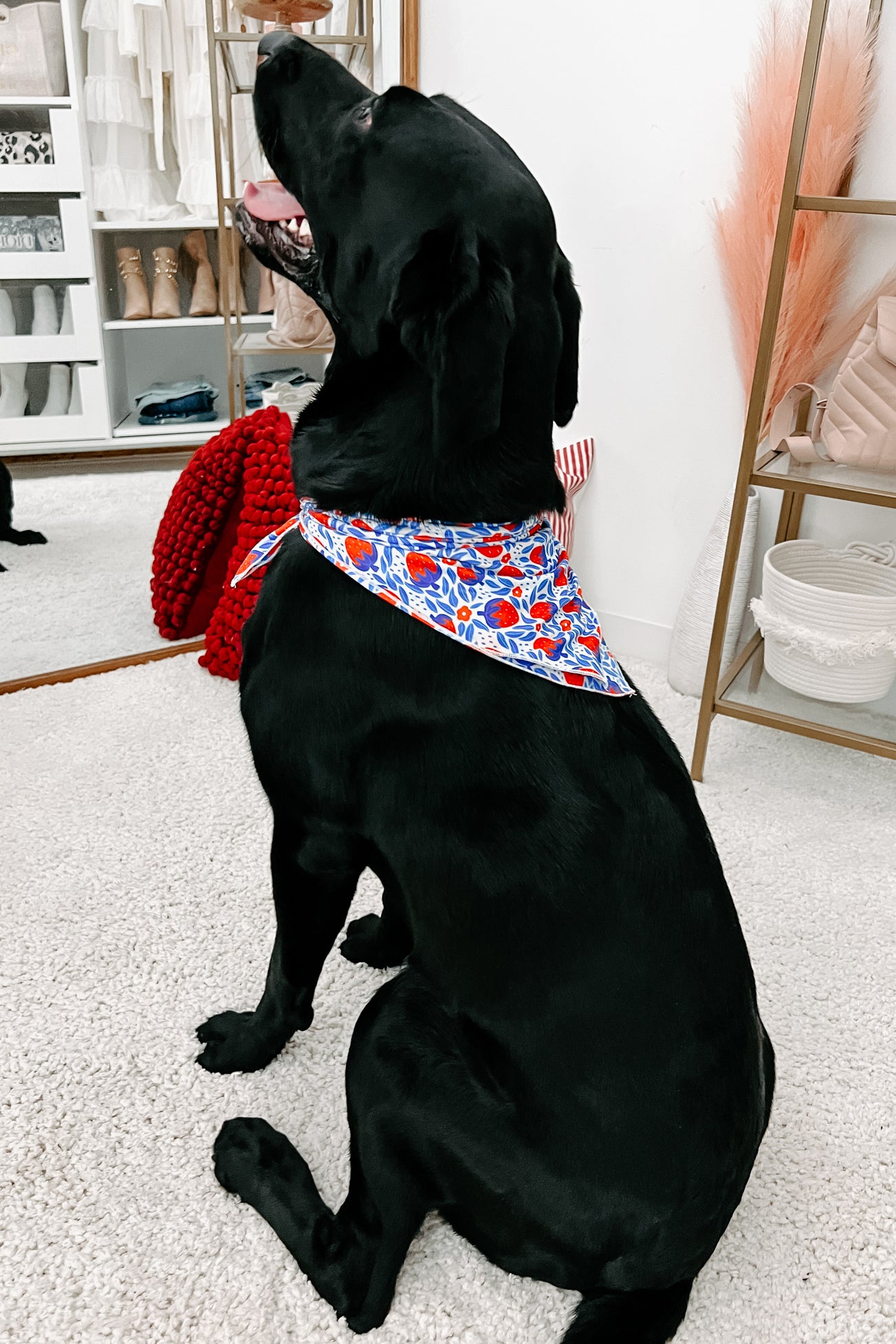 NanaMacs Original Printed Hair Or Dog Bandana (Lips) · NanaMacs