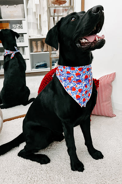 NanaMacs Original Printed Hair Or Dog Bandana (Strawberry) - NanaMacs