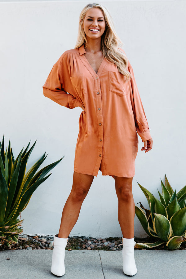 Lake Lover Long Sleeve Button Down Tunic Dress (Desert Mist) - NanaMacs