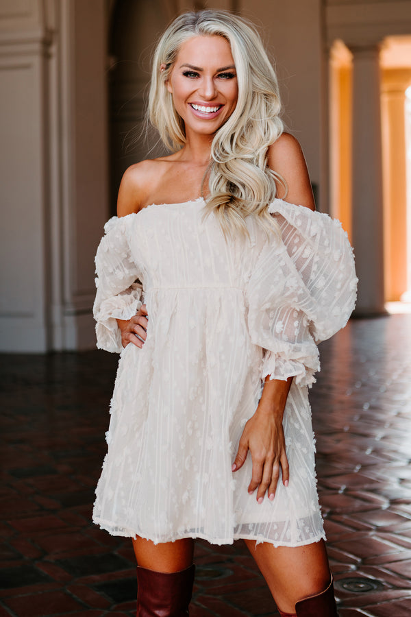 Clementine Embroidered Mesh Babydoll Dress (Ivory) - NanaMacs