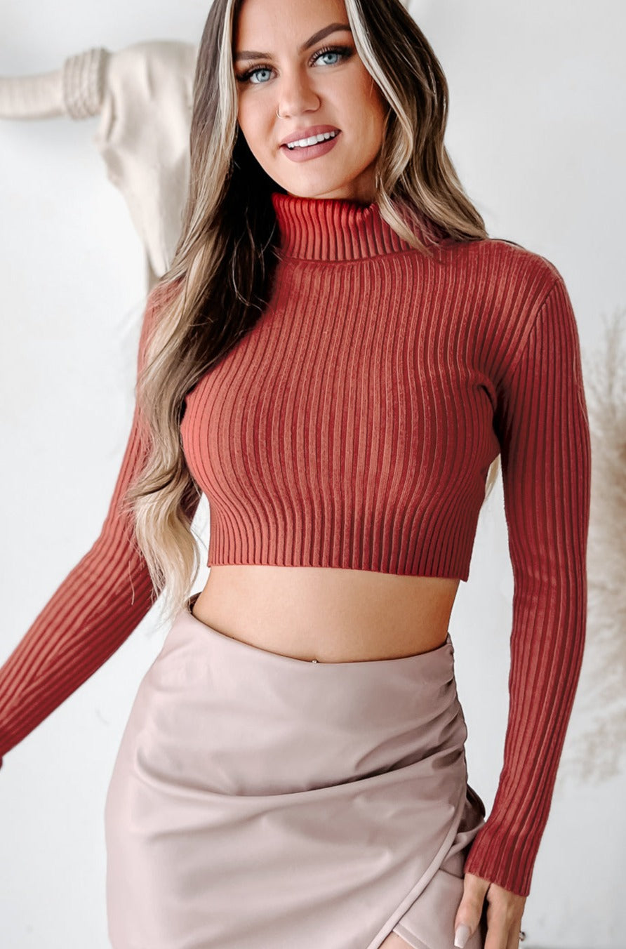 Keeping It Stylish Turtleneck Cropped Long Sleeve Top (Terra) - NanaMacs