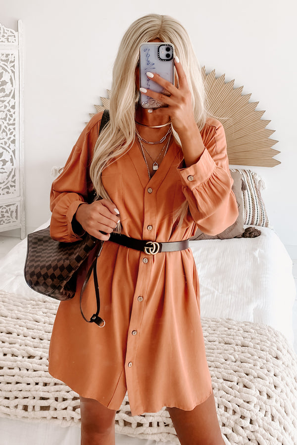 Lake Lover Long Sleeve Button Down Tunic Dress (Desert Mist) - NanaMacs