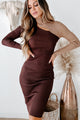 Feeling Like New Ribbed Colorblock Sweater Dress (Chocolate/Camel) - NanaMacs
