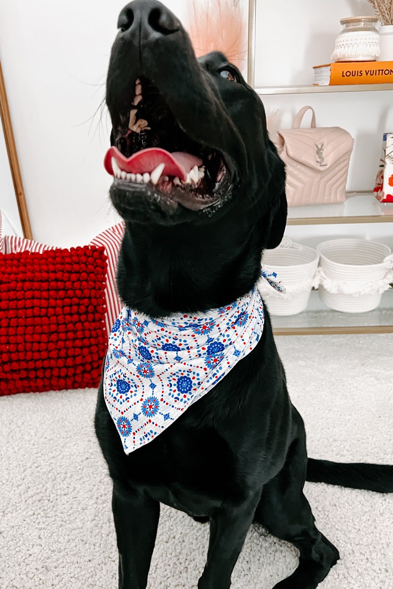 Ou dog best sale bandana