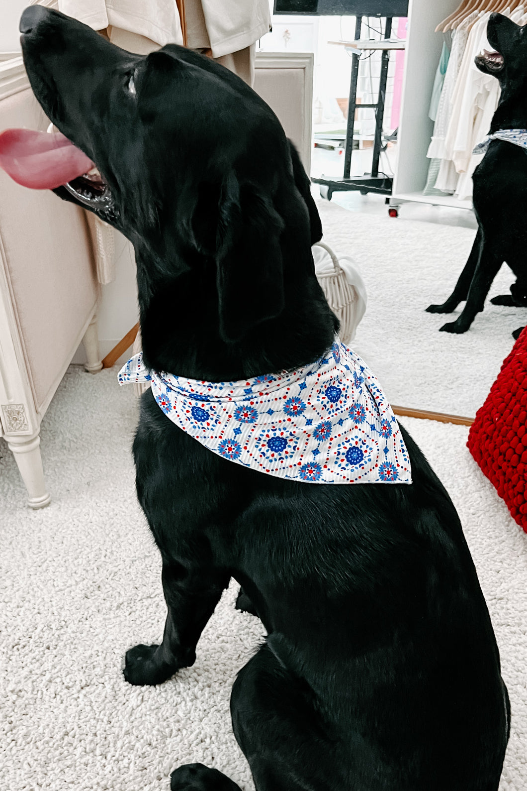 Ou best sale dog bandana