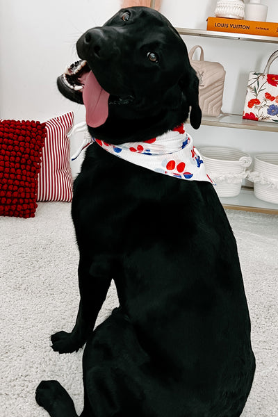 NanaMacs Original Printed Hair Or Dog Bandana (Paws) - NanaMacs