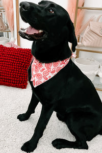 NanaMacs Original Printed Hair Or Dog Bandana (Red Paisley) - NanaMacs