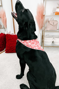 NanaMacs Original Printed Hair Or Dog Bandana (Red Paisley) - NanaMacs