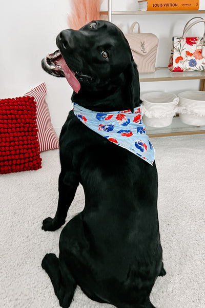 NanaMacs Original Printed Hair Or Dog Bandana (Lips) - NanaMacs