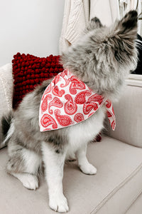 NanaMacs Original Printed Hair Or Dog Bandana (Red Paisley) - NanaMacs