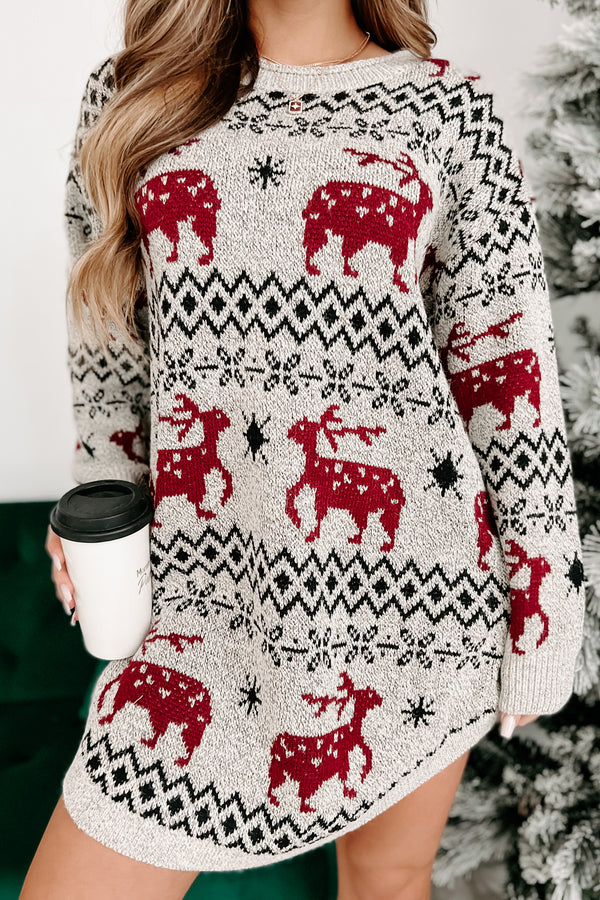 Snowflakes & Sleighs Printed Sweater Dress (Multi) - NanaMacs